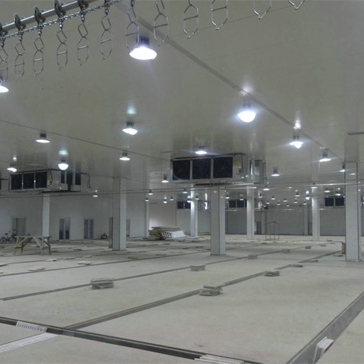 JG30B Electric Forklift